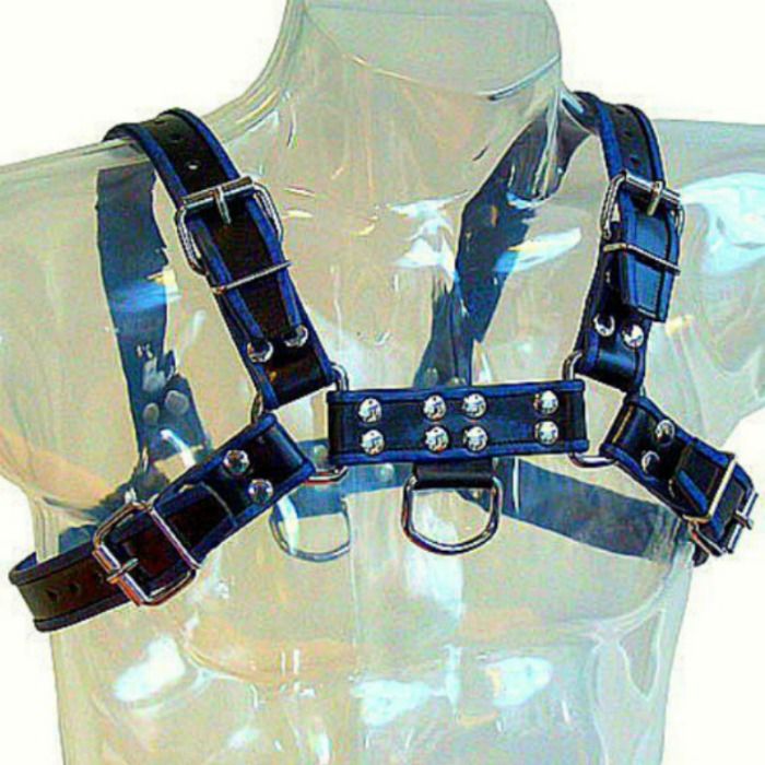 Leather Body – Bulldog Brustharness aus Leder, Blau-Schwarz